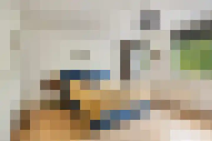De Wieken 138 Hoorn thumbnail 13