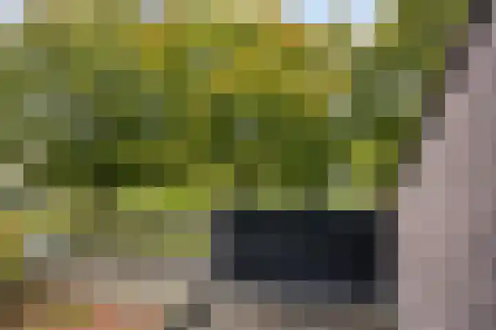 De Wieken 138 Hoorn thumbnail 16