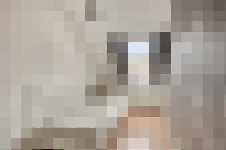 De Wieken 138 Hoorn thumbnail 20