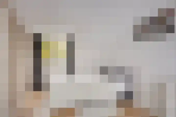 De Wieken 138 Hoorn thumbnail 22