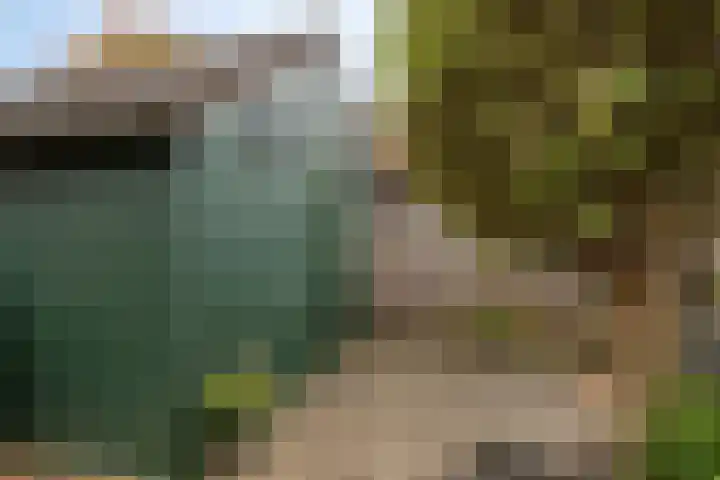 De Wieken 138 Hoorn thumbnail 30
