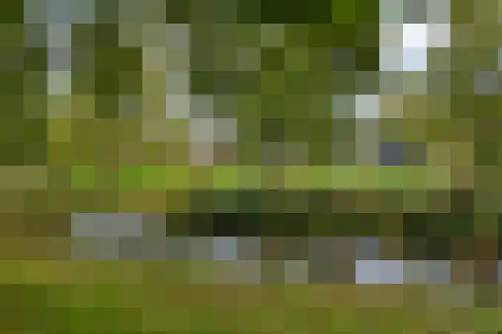De Wieken 138 Hoorn thumbnail 31