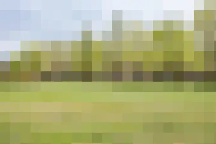 De Wieken 138 Hoorn thumbnail 32