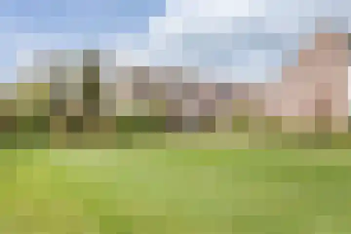De Wieken 138 Hoorn thumbnail 35