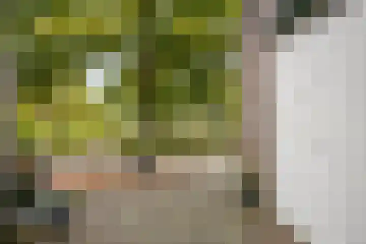 De Wieken 138 Hoorn thumbnail 38