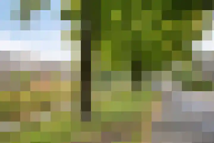 De Wieken 138 Hoorn thumbnail 39