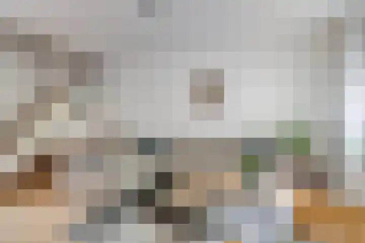 De Wieken 138 Hoorn thumbnail 5