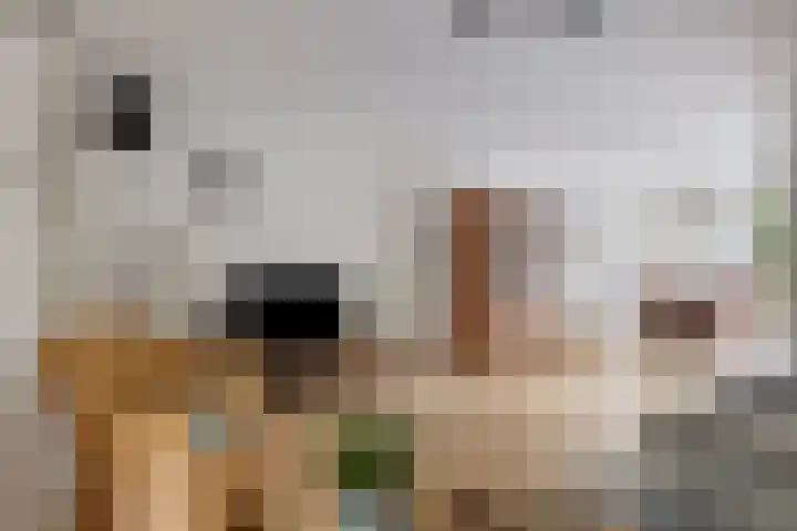 De Wieken 138 Hoorn thumbnail 6