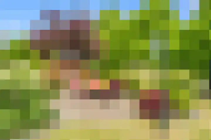 De Wieken 14 Delden thumbnail 11