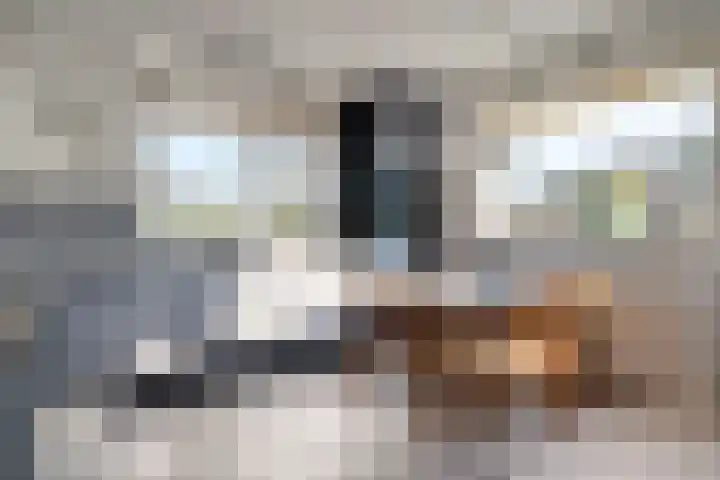 De Wieken 14 Delden thumbnail 16