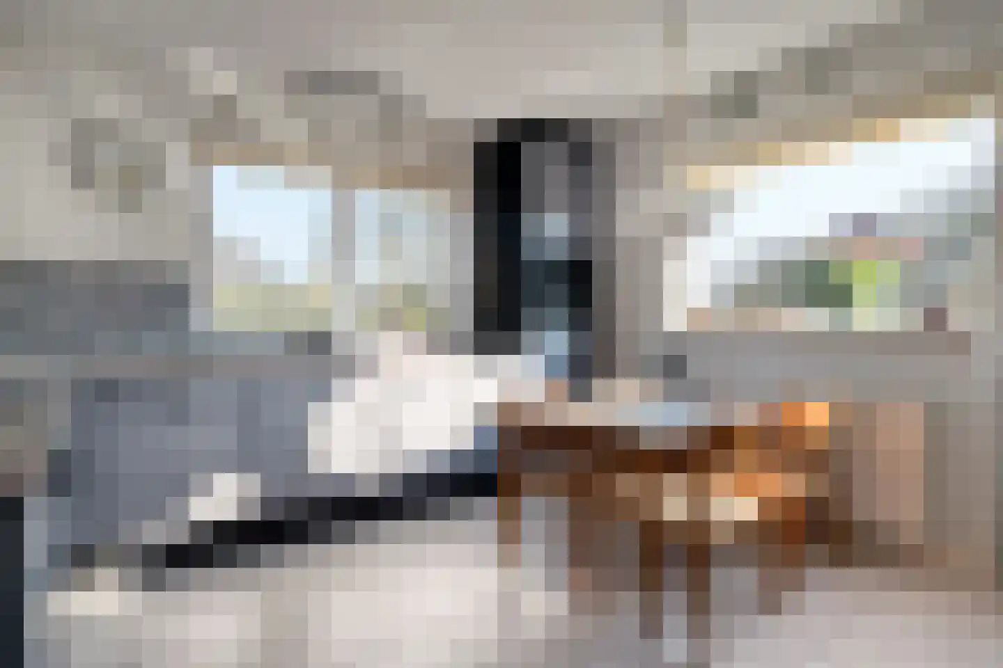 De Wieken 14 Delden thumbnail 16