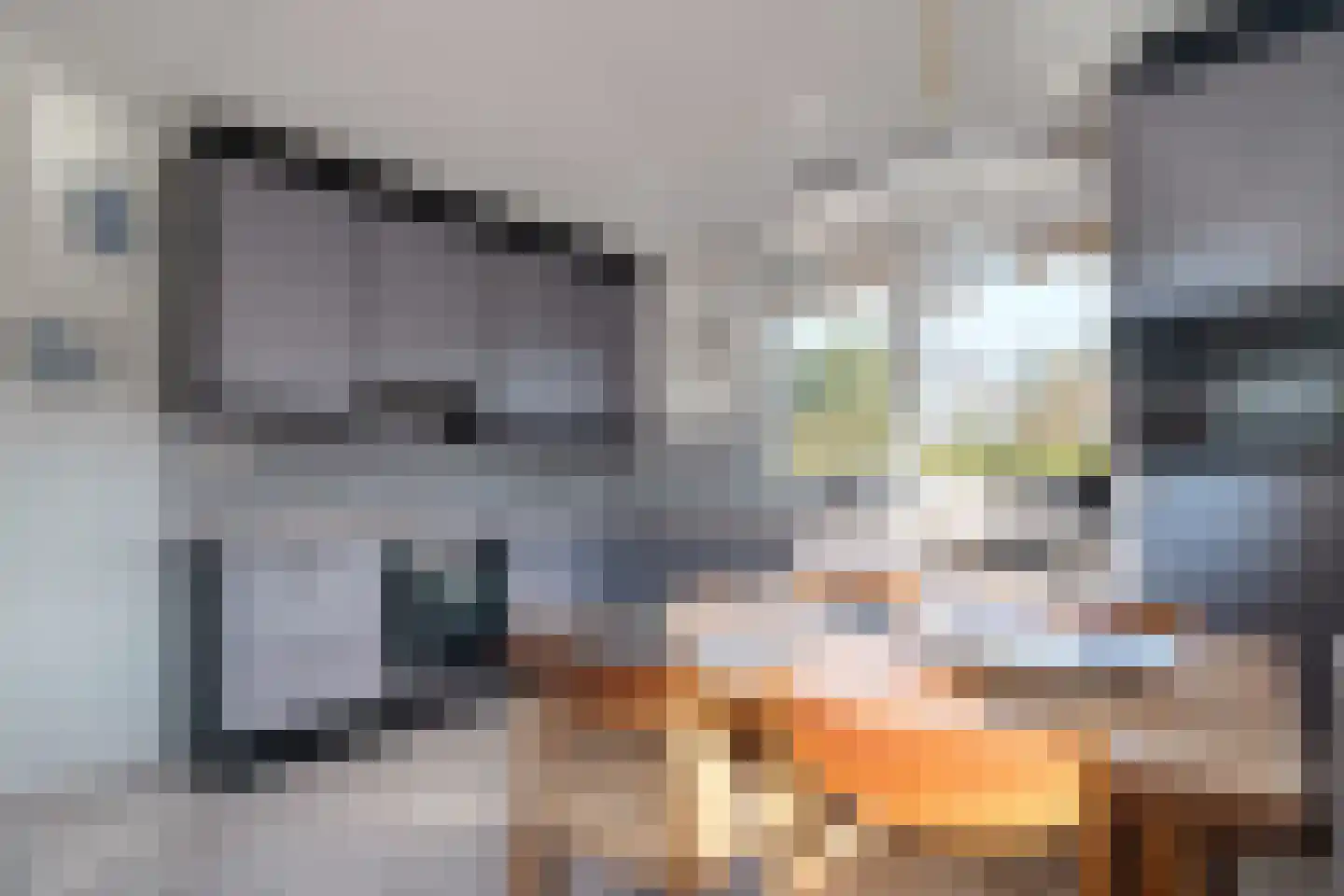 De Wieken 14 Delden thumbnail 18