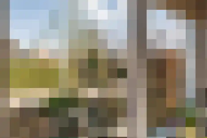 De Wieken 14 Delden thumbnail 19