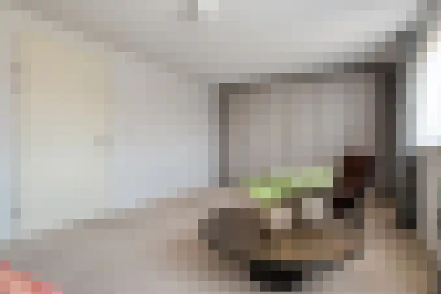 De Wieken 14 Delden thumbnail 27