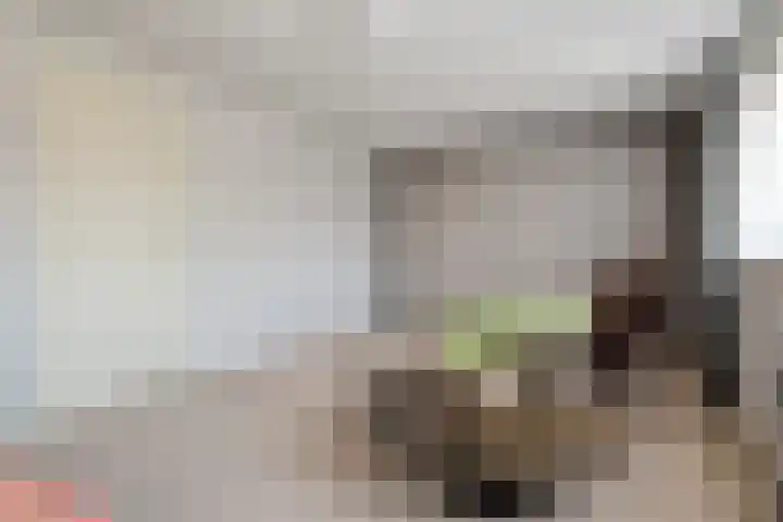 De Wieken 14 Delden thumbnail 27