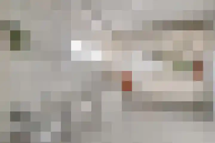 De Wieken 14 Delden thumbnail 32