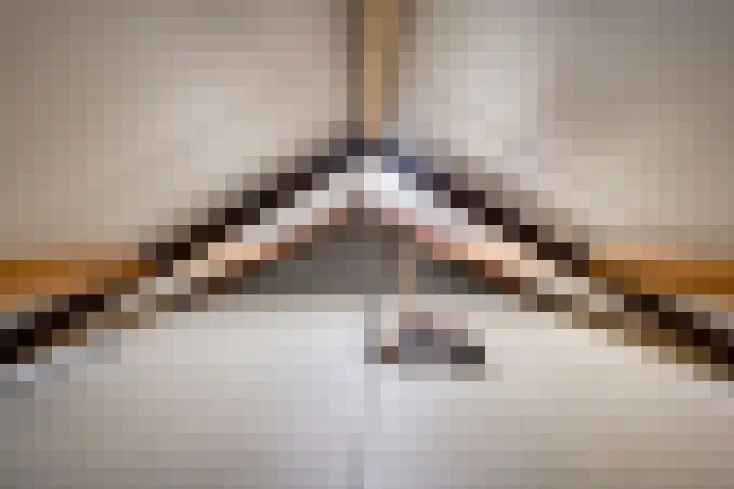De Wieken 14 Delden thumbnail 37