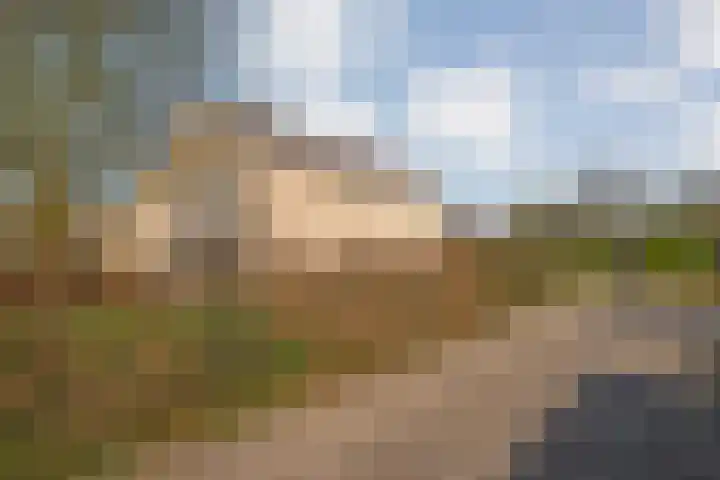 De Wieken 14 Delden thumbnail 38