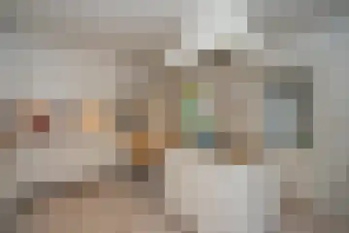 De Wieken 14 Delden thumbnail 39