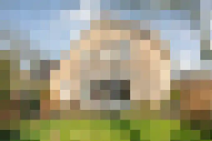 De Wieken 14 Delden thumbnail 4