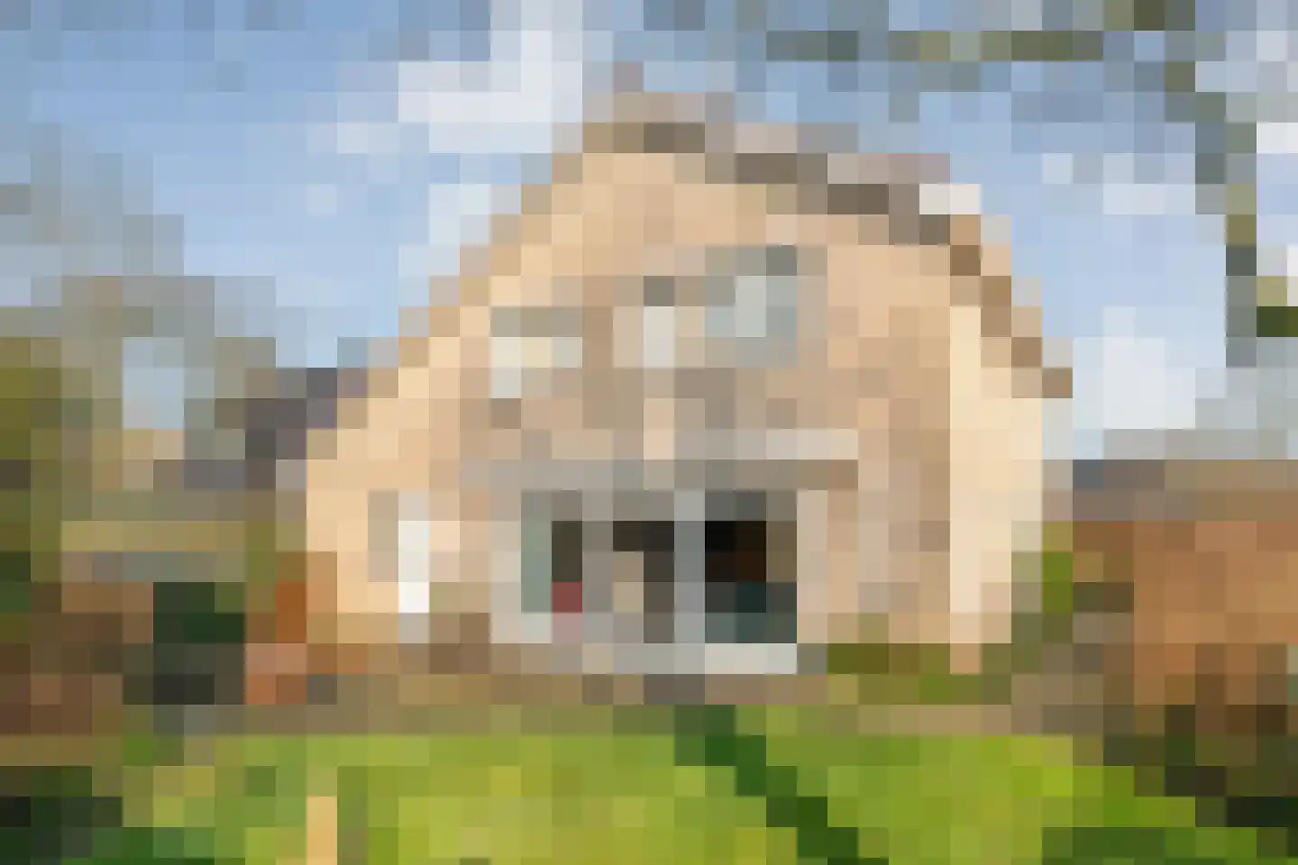 De Wieken 14 Delden thumbnail 4