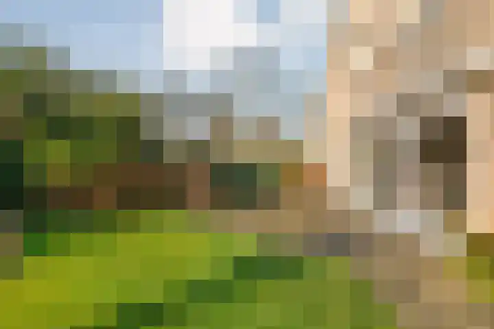 De Wieken 14 Delden thumbnail 40