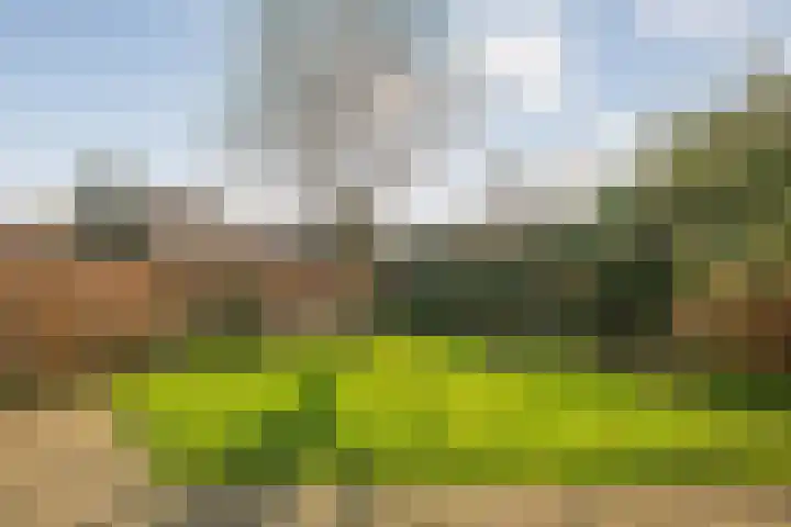 De Wieken 14 Delden thumbnail 42