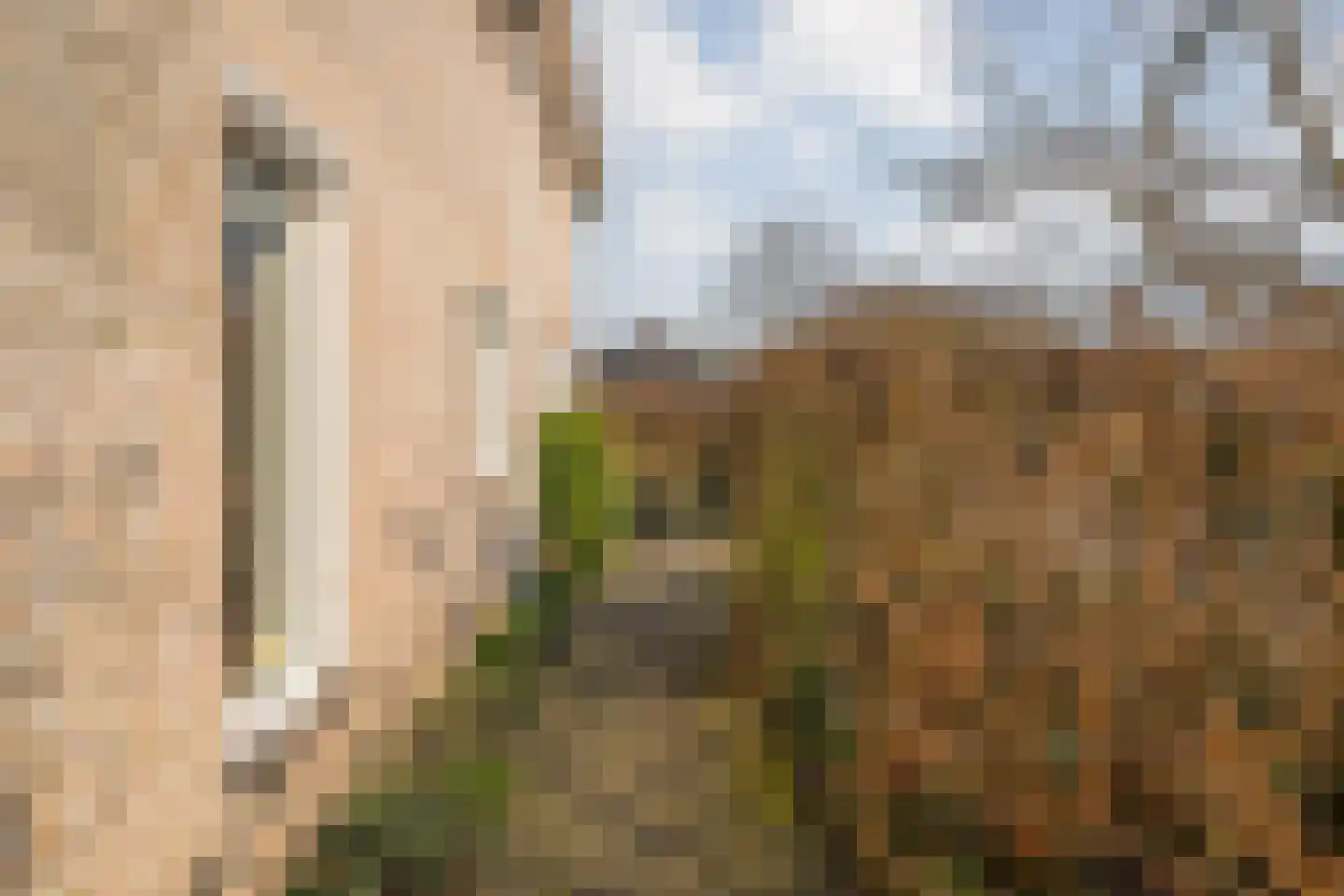 De Wieken 14 Delden thumbnail 43