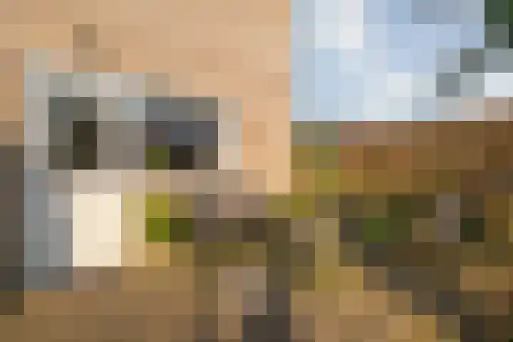 De Wieken 14 Delden thumbnail 44