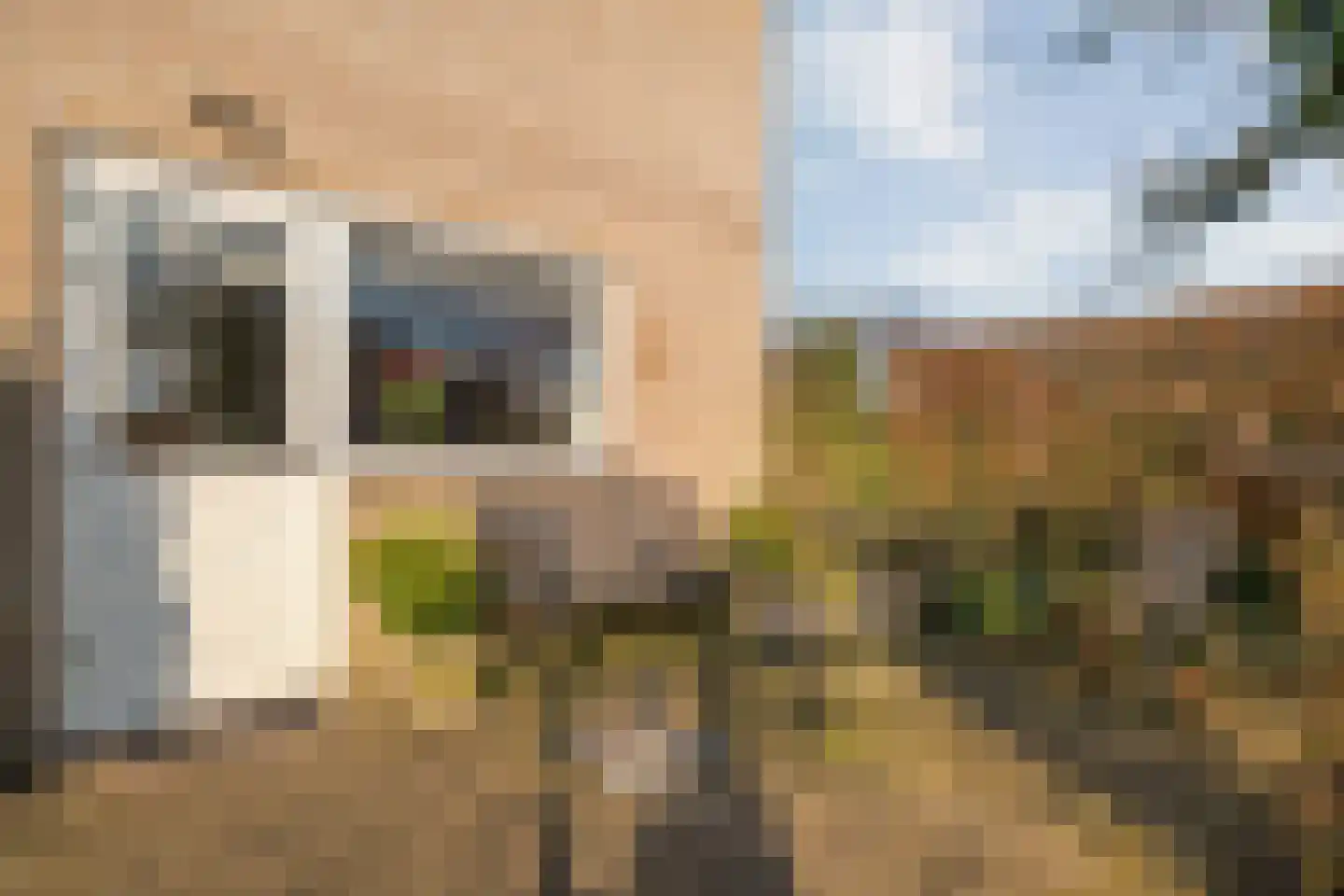 De Wieken 14 Delden thumbnail 44