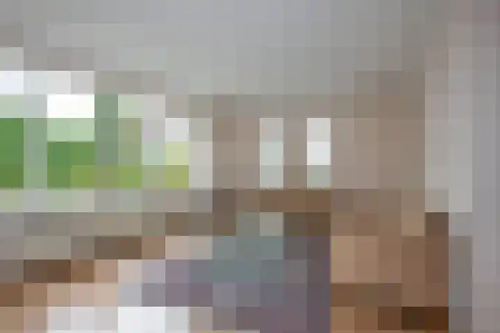 De Wieken 15 Delden thumbnail 10