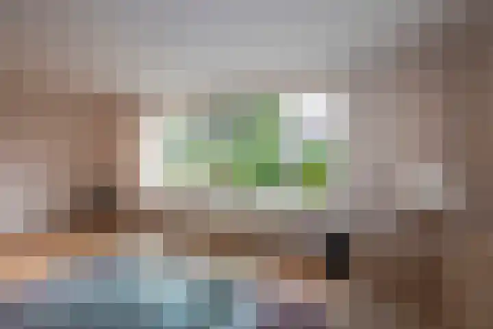 De Wieken 15 Delden thumbnail 11