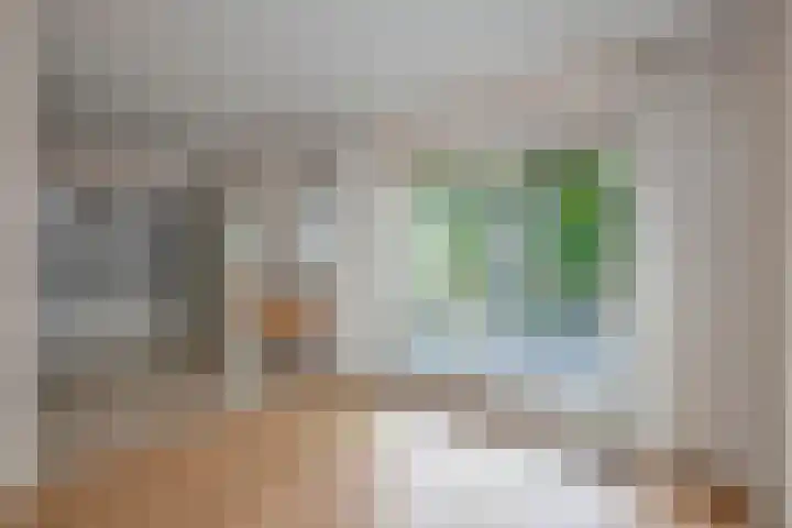 De Wieken 15 Delden thumbnail 13