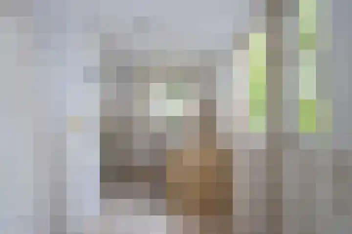 De Wieken 15 Delden thumbnail 15