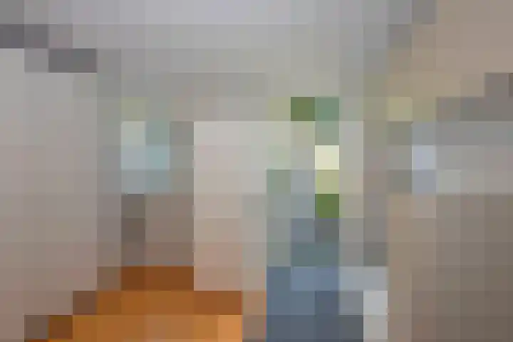 De Wieken 15 Delden thumbnail 16