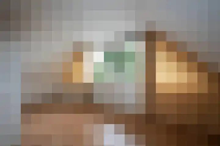 De Wieken 15 Delden thumbnail 20