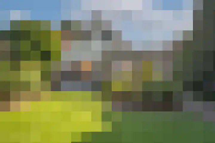 De Wieken 15 Delden thumbnail 29