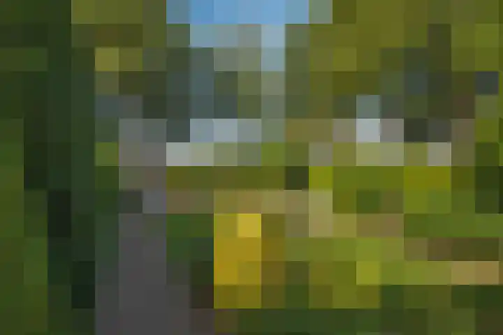 De Wieken 15 Delden thumbnail 30