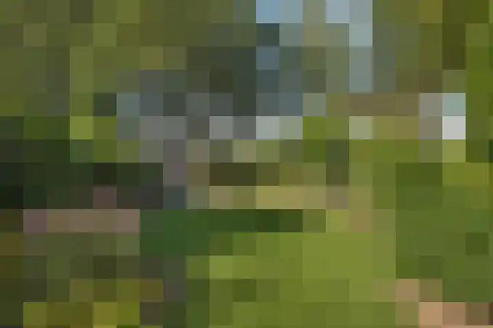 De Wieken 15 Delden thumbnail 31
