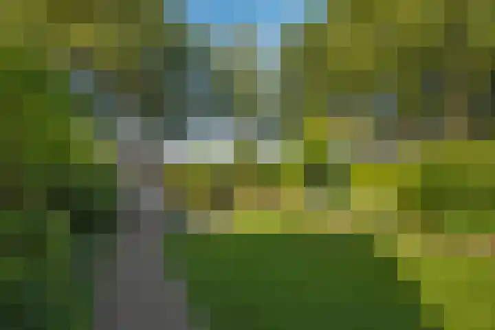 De Wieken 15 Delden thumbnail 32