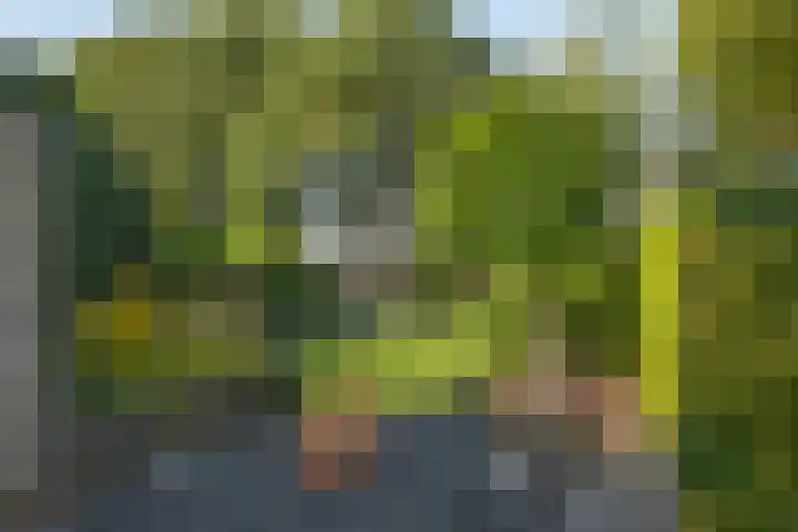 De Wieken 15 Delden thumbnail 33