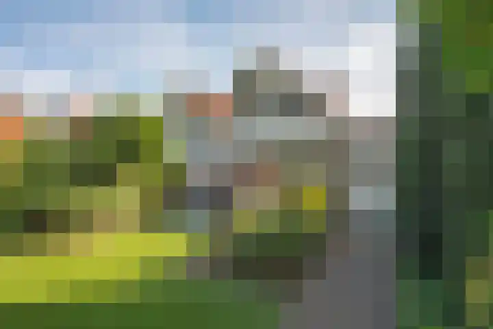 De Wieken 15 Delden thumbnail 34