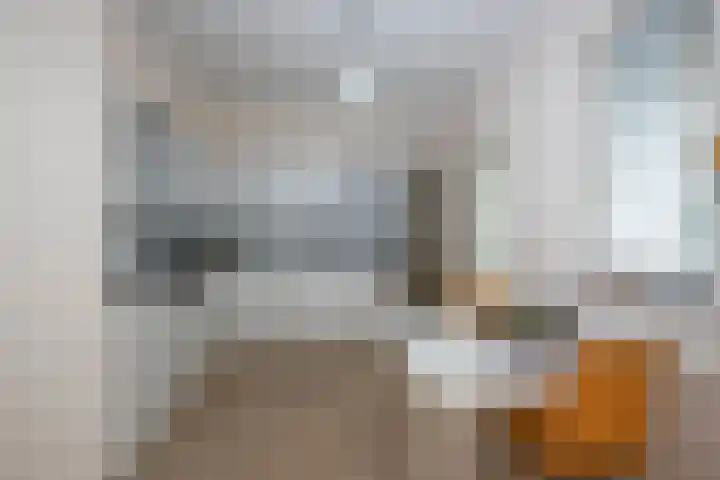 De Wieken 15 Delden thumbnail 4