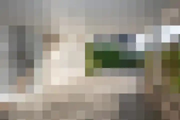 De Wieken 15 Delden thumbnail 6