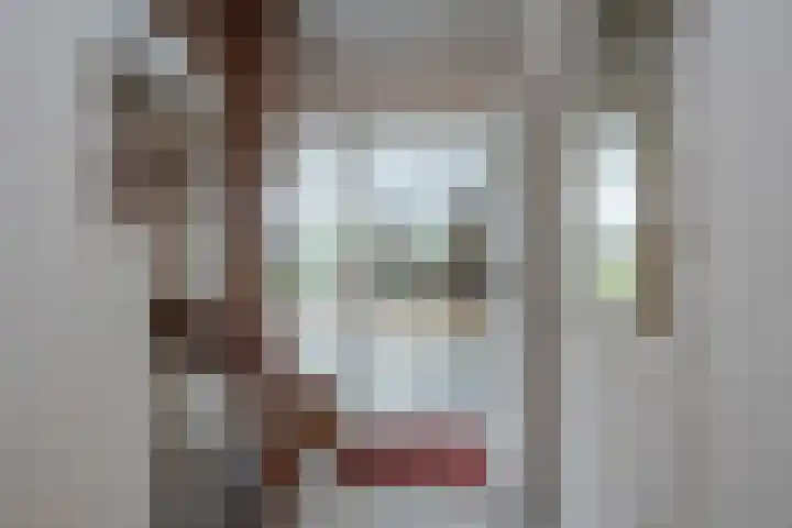 De Wieken 15 Delden thumbnail 7