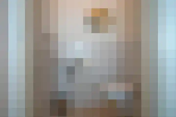 De Wieken 15 Delden thumbnail 8