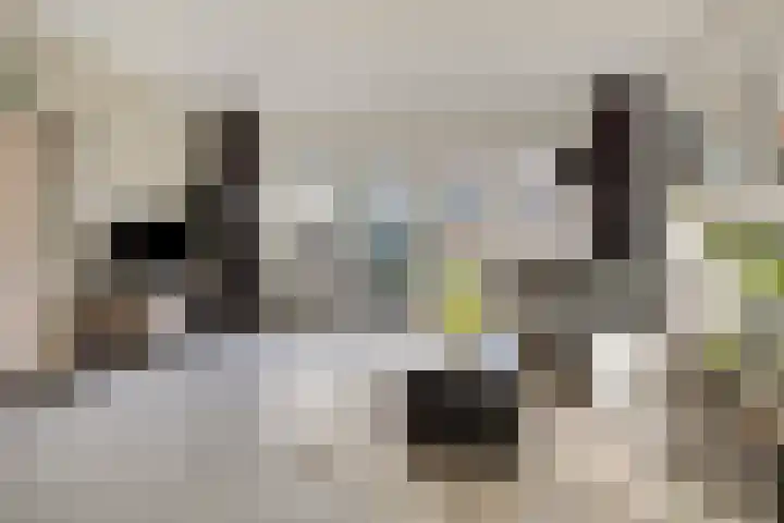 De Wieken 156 Hoorn thumbnail 10