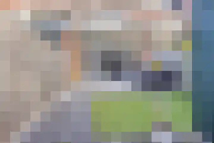 De Wieken 156 Hoorn thumbnail 16