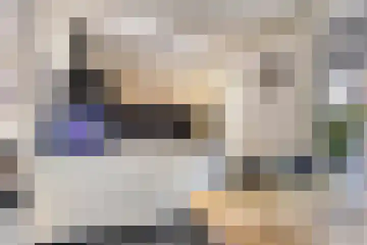 De Wieken 16 Beek en Donk thumbnail 10