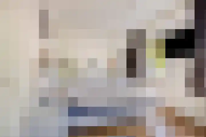 De Wieken 16 Beek en Donk thumbnail 18
